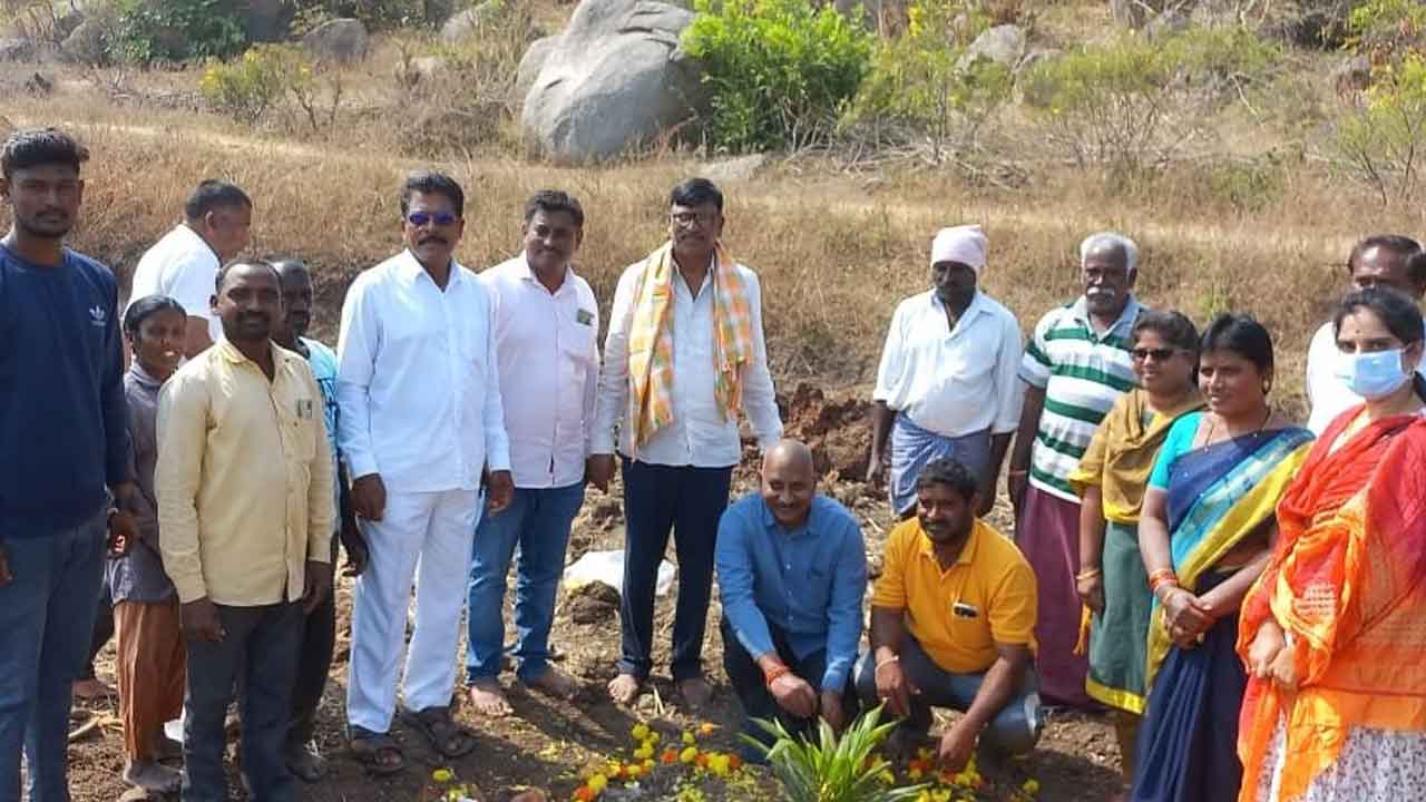 ఆయిల్ పామ్ సాగుతో అధిక లాభాలు