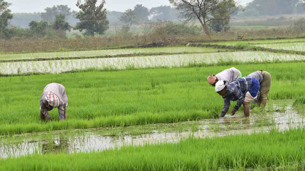 అదునుకు ఆత్మబంధువులా
