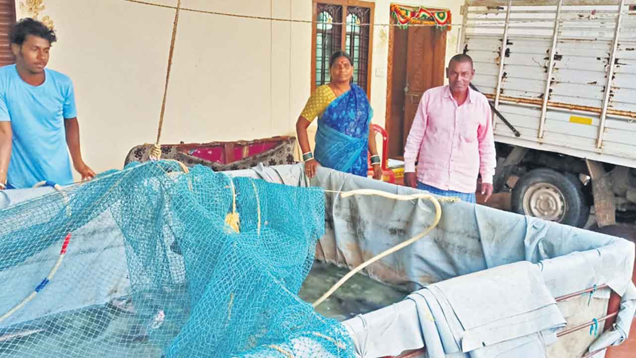 వ్యాపారాల్లో రాణిస్తూ..