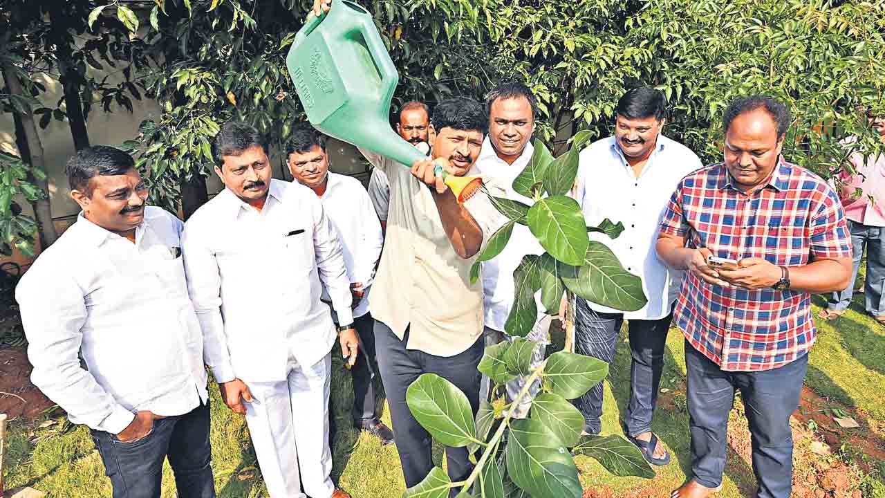 పచ్చదనంతో స్వాగతం పలుకుదాం