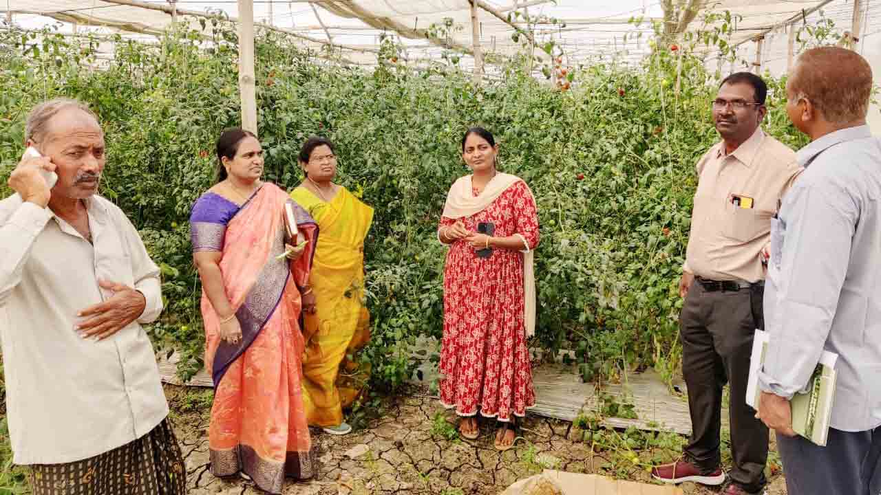 ఆధునిక సాగు వైపు అన్నదాత