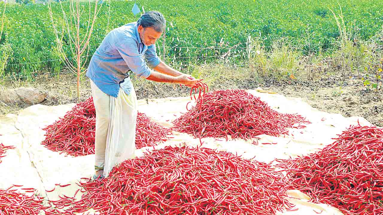 నేను రైతునైనందుకు గర్వపడుతున్నా!