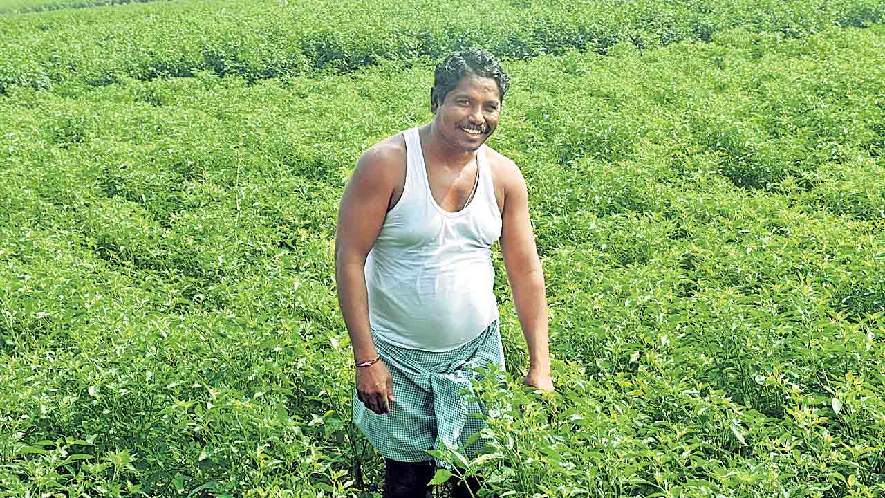 నాడు పంటంతా అప్పులకే సరి