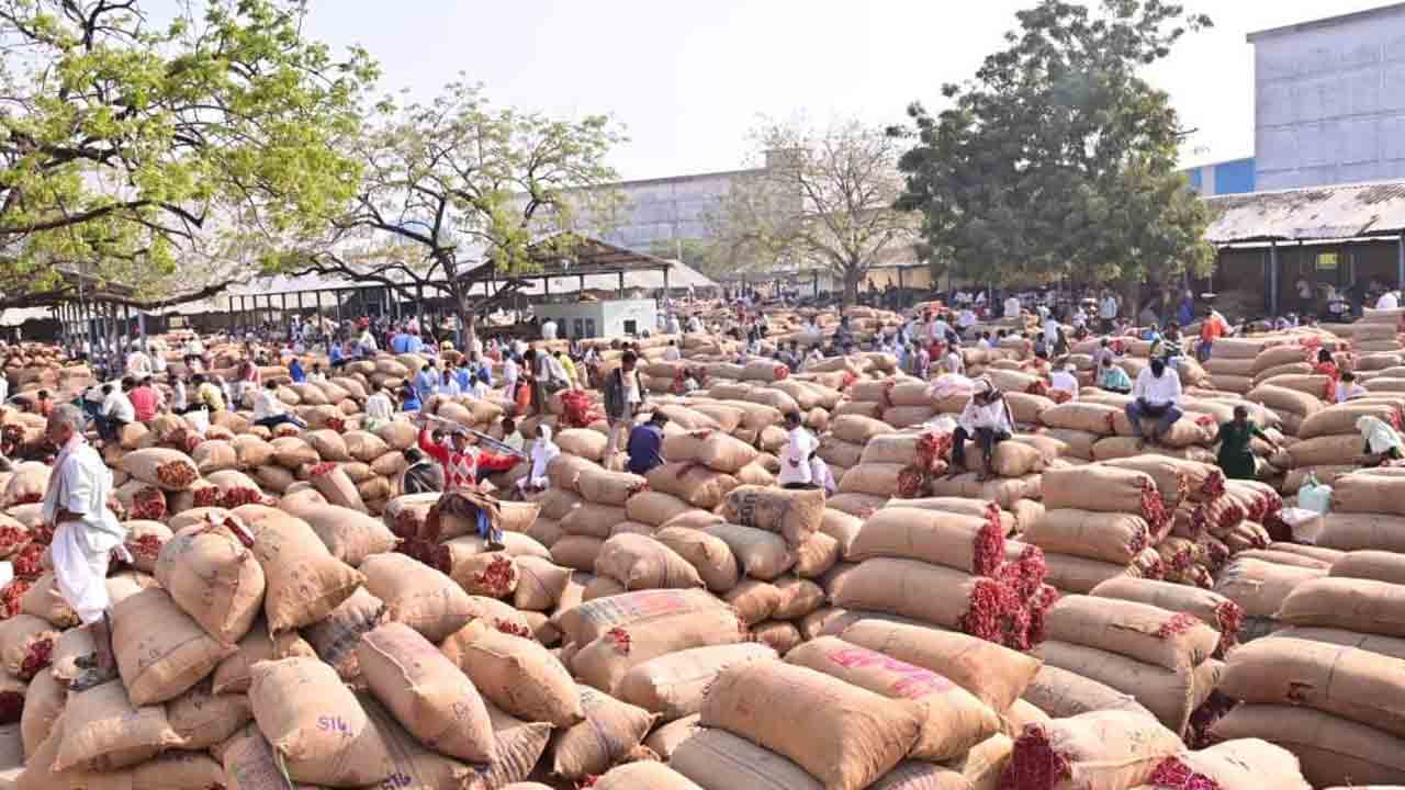 పోటెత్తిన తేజా మిర్చి