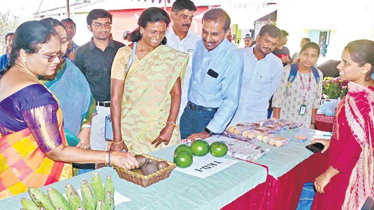 అవకాడోలో అధిక పోషకాలు