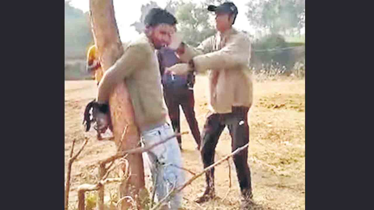 జర్నలిస్టును చెట్టుకు కట్టేసి దాడి