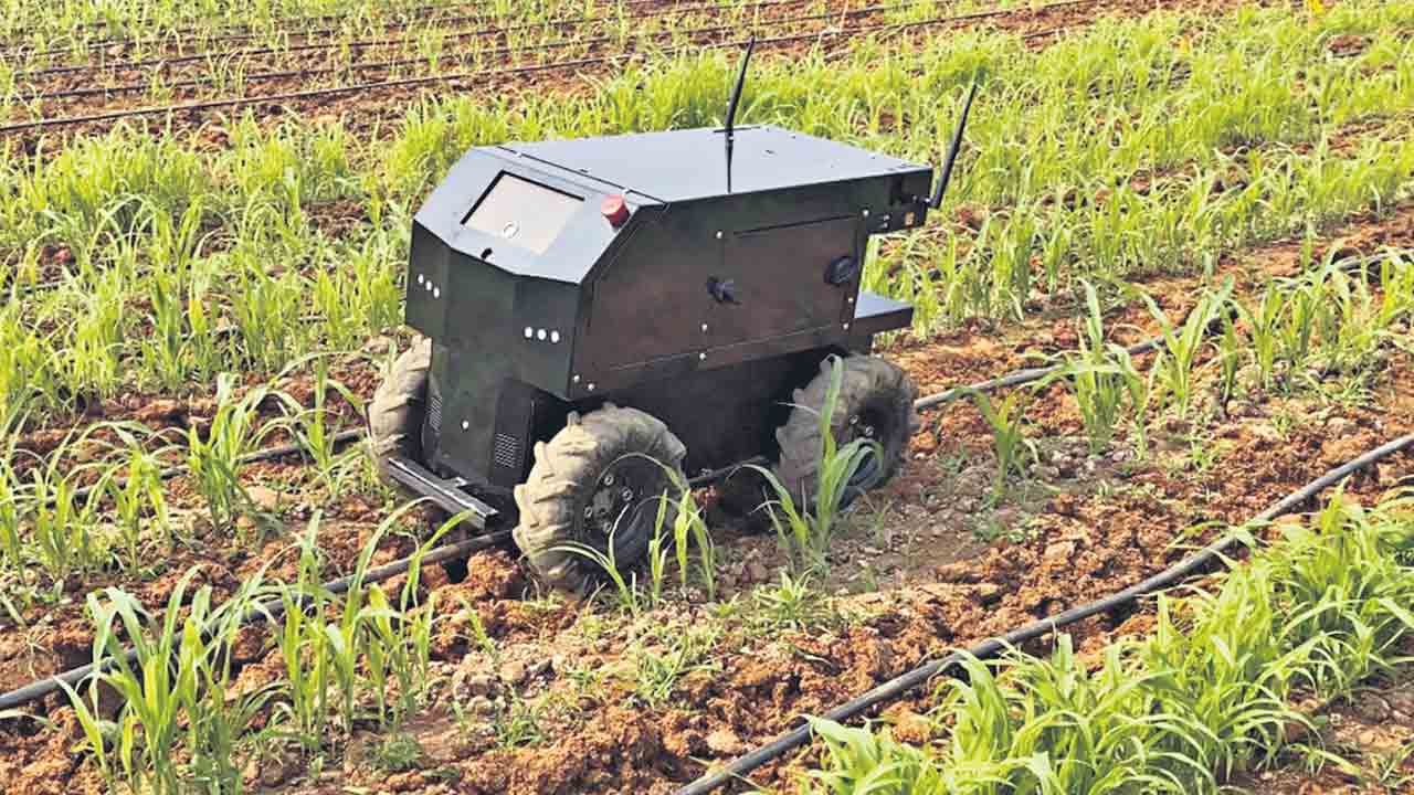 కలుపు తీసే ఏఐ యంత్రం