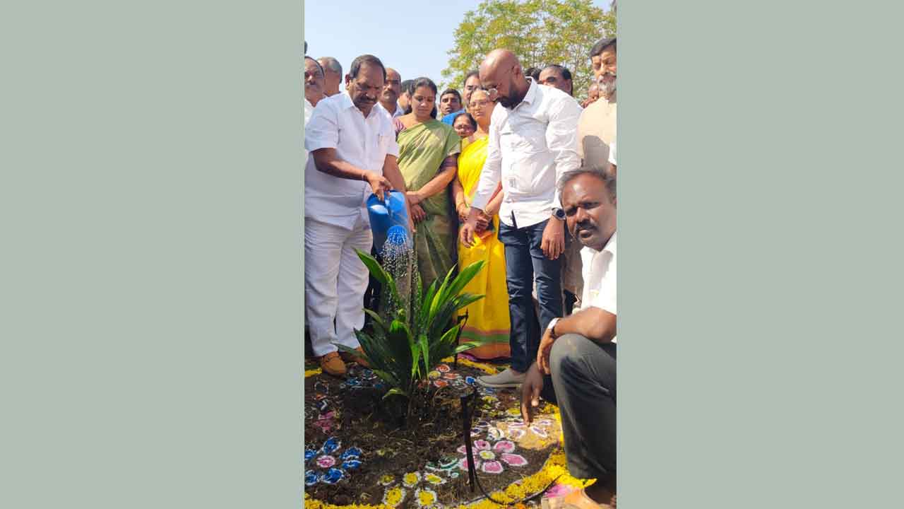 ఆయిల్పామ్పై అపోహలు వద్దు