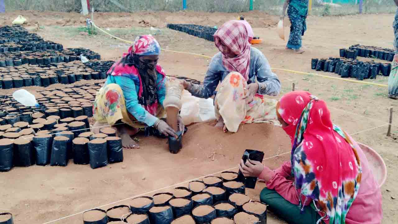 14 లక్షలు టార్గెట్‌!