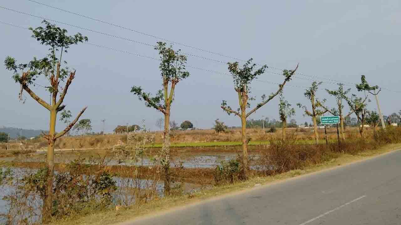 ఎంత నిర్లక్ష్యం