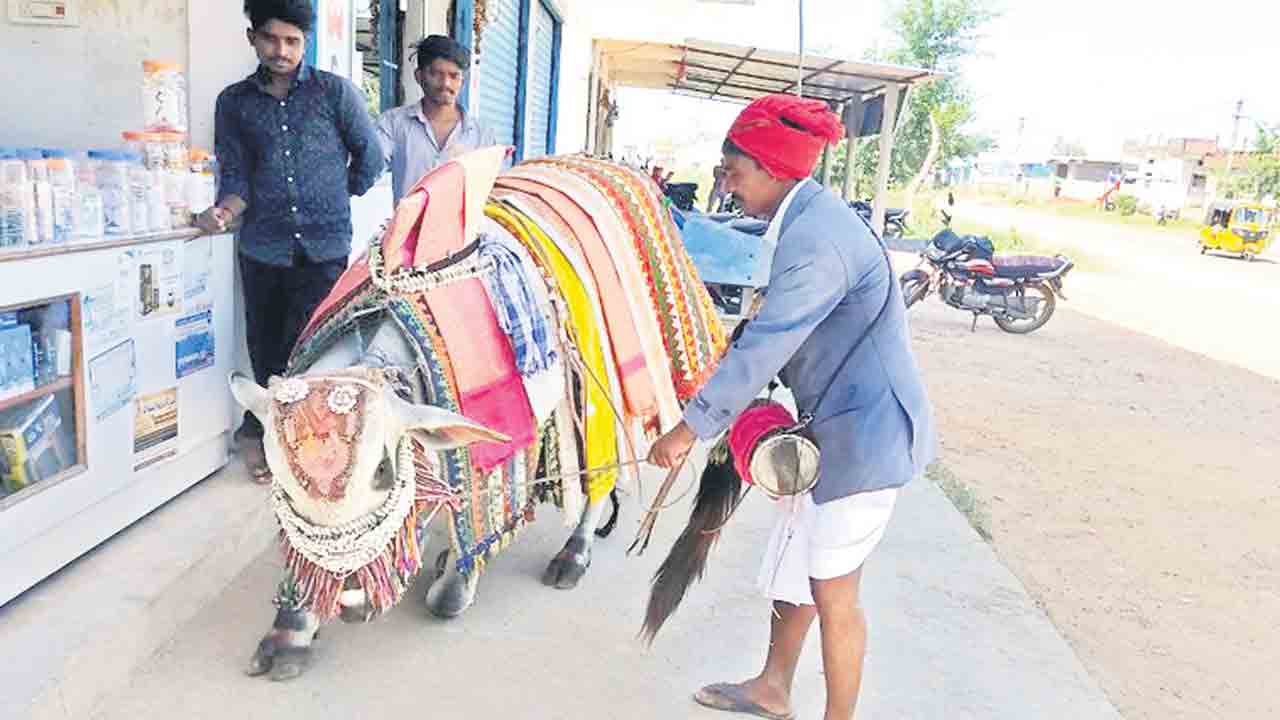 బసవన్నల హోరు.. సంక్రాంతి సందడి షురూ