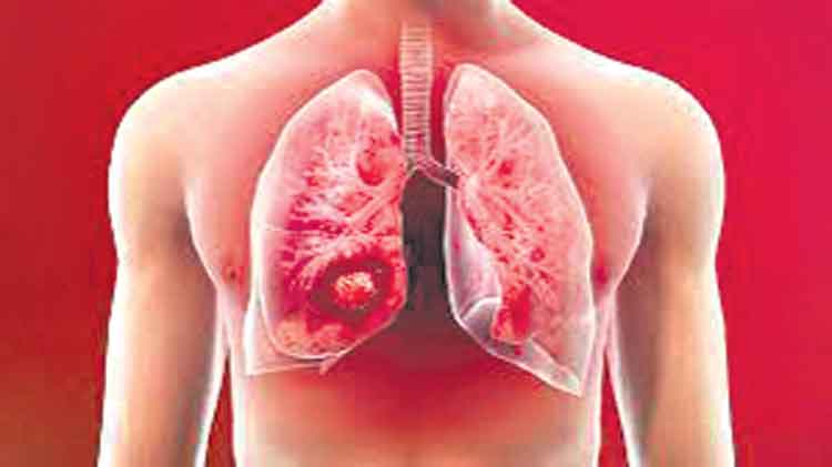 హెల్త్‌ బిట్స్‌