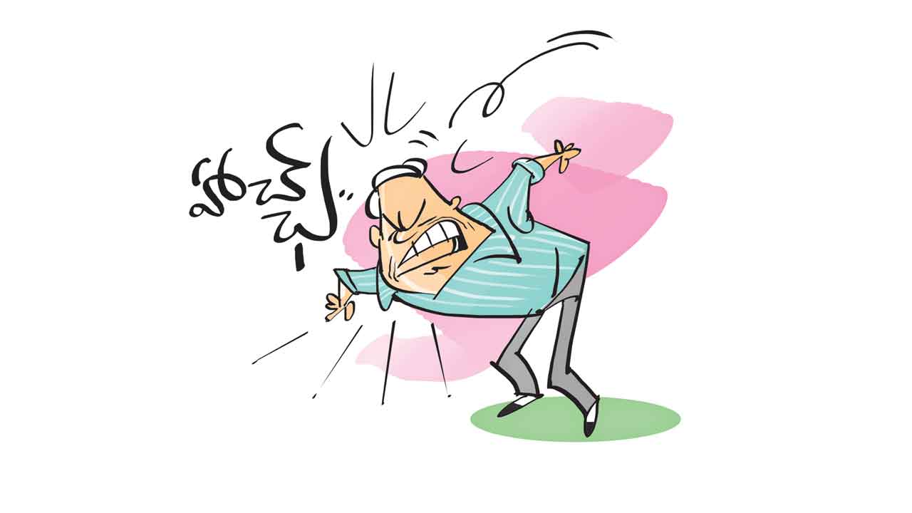 పదబంధం – తుమ్ము తమ్ముడై చెప్తది..