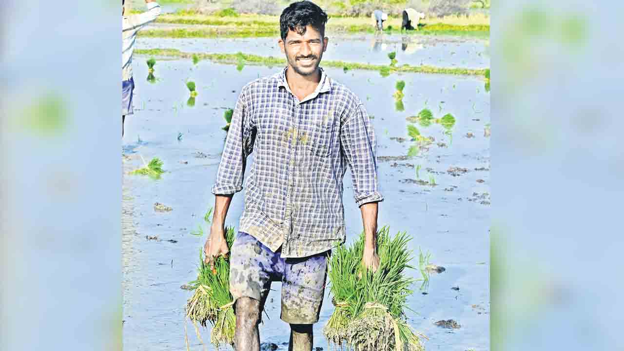 రైతుబంధు సంబురం