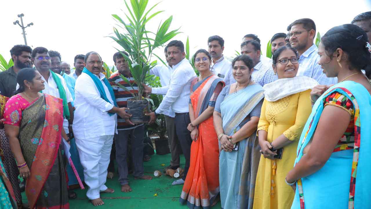 ఆయిల్పాం సాగుకు ప్రభుత్వ ప్రోత్సాహకాలు