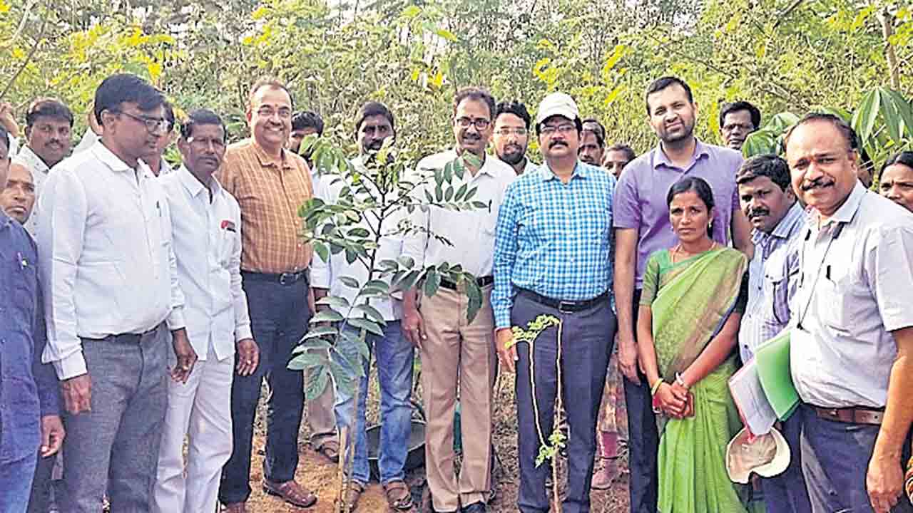 ఉపాధి హామీ పనులు భేష్‌ : కేంద్ర బృందం