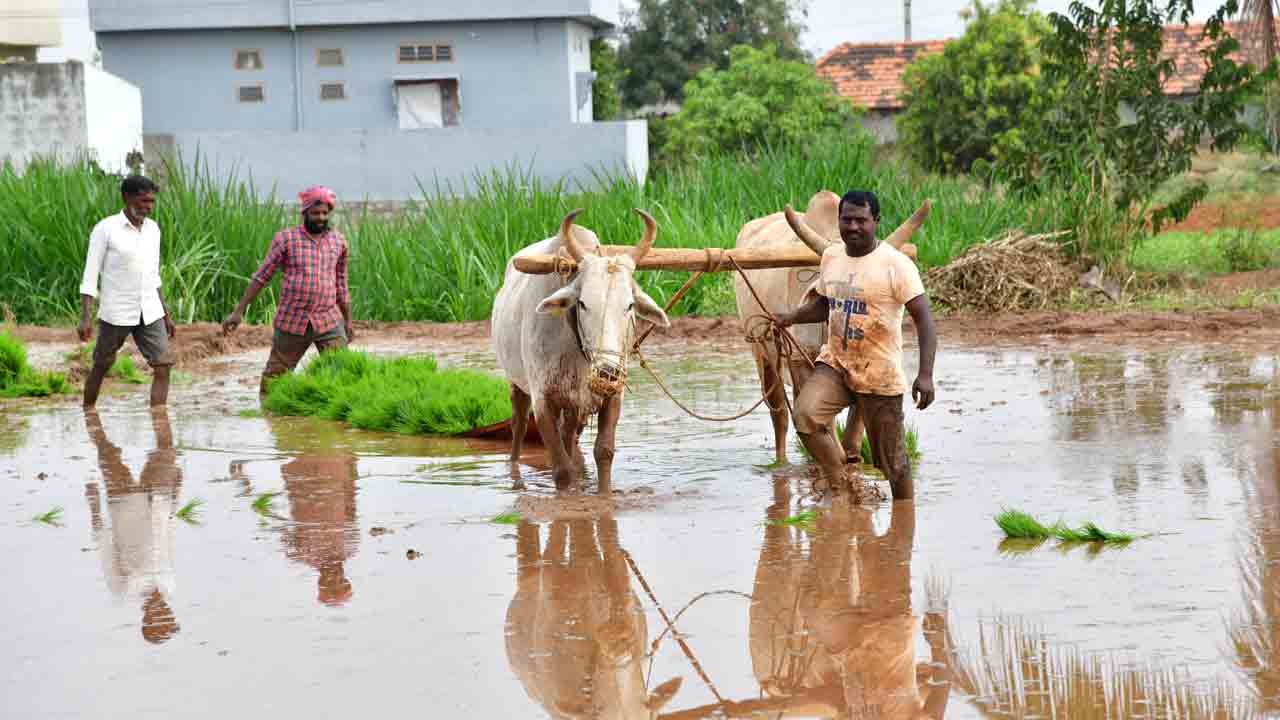 అన్నదాత ఇంట.. ఆనంద హేల
