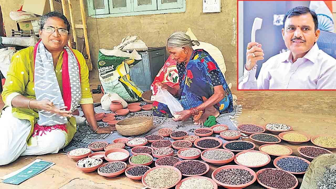 నేడు సంగారెడ్డిలో మంత్రి హరీశ్‌రావు పర్యటన