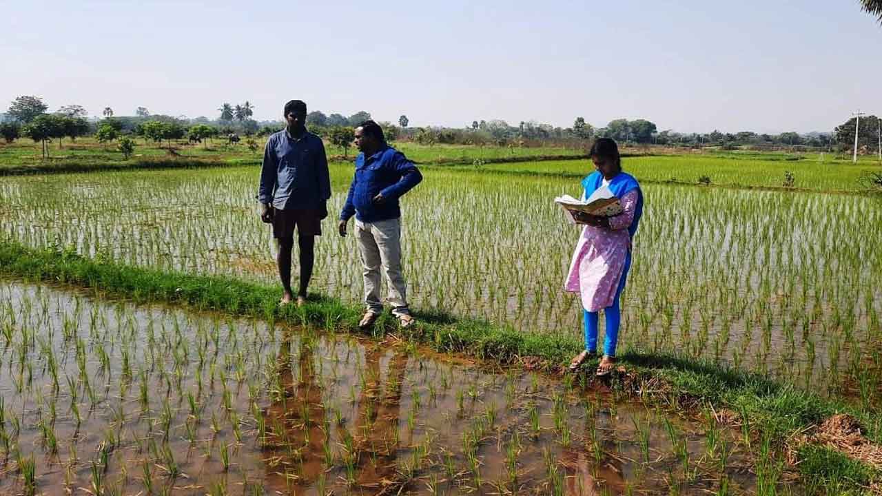 వరి సాగులో అన్నదాతలు జాగ్రత్తలు తీసుకోవాలి