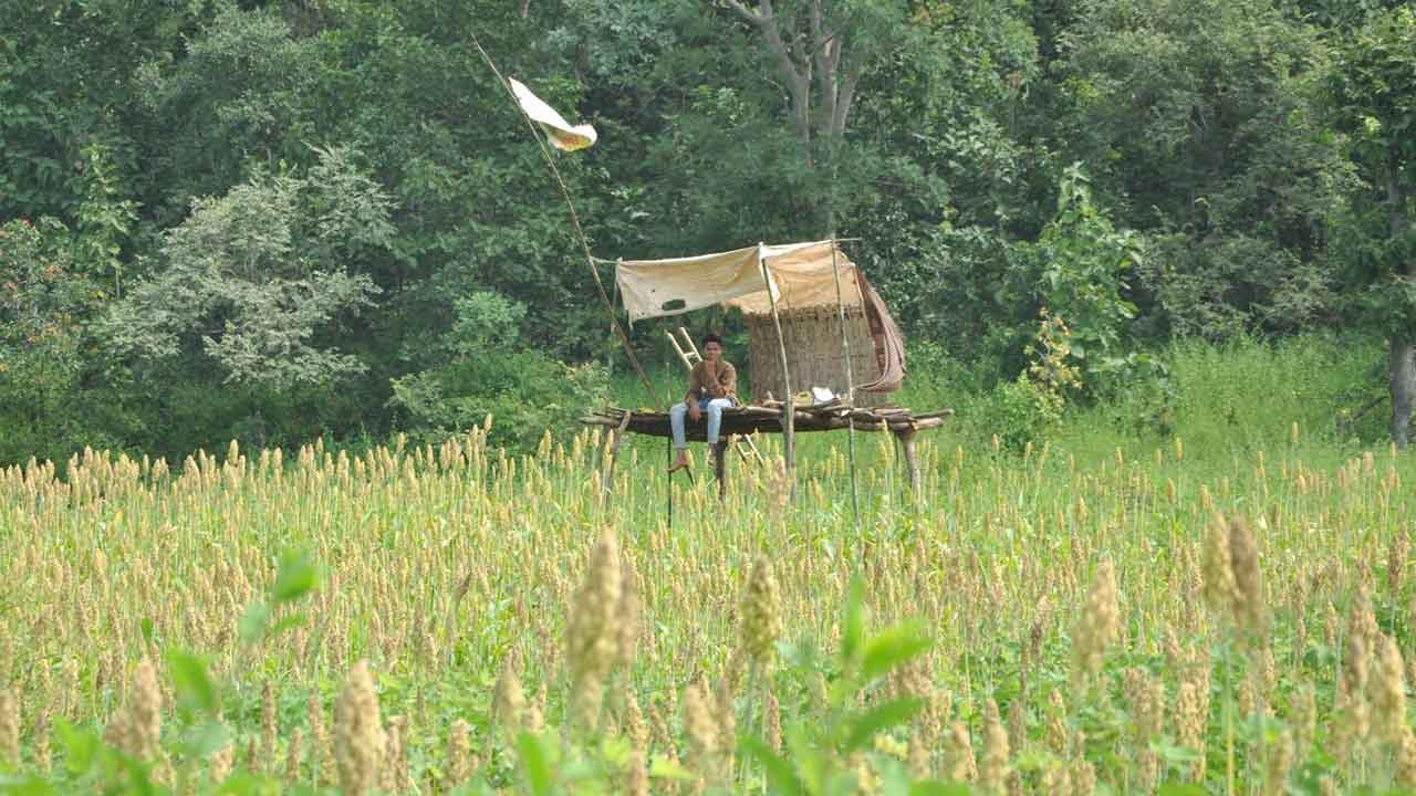 ప్రకృతి సేద్యం.. పెట్టుబడి తగ్గించి.. దిగుబడి పెంచేలా..