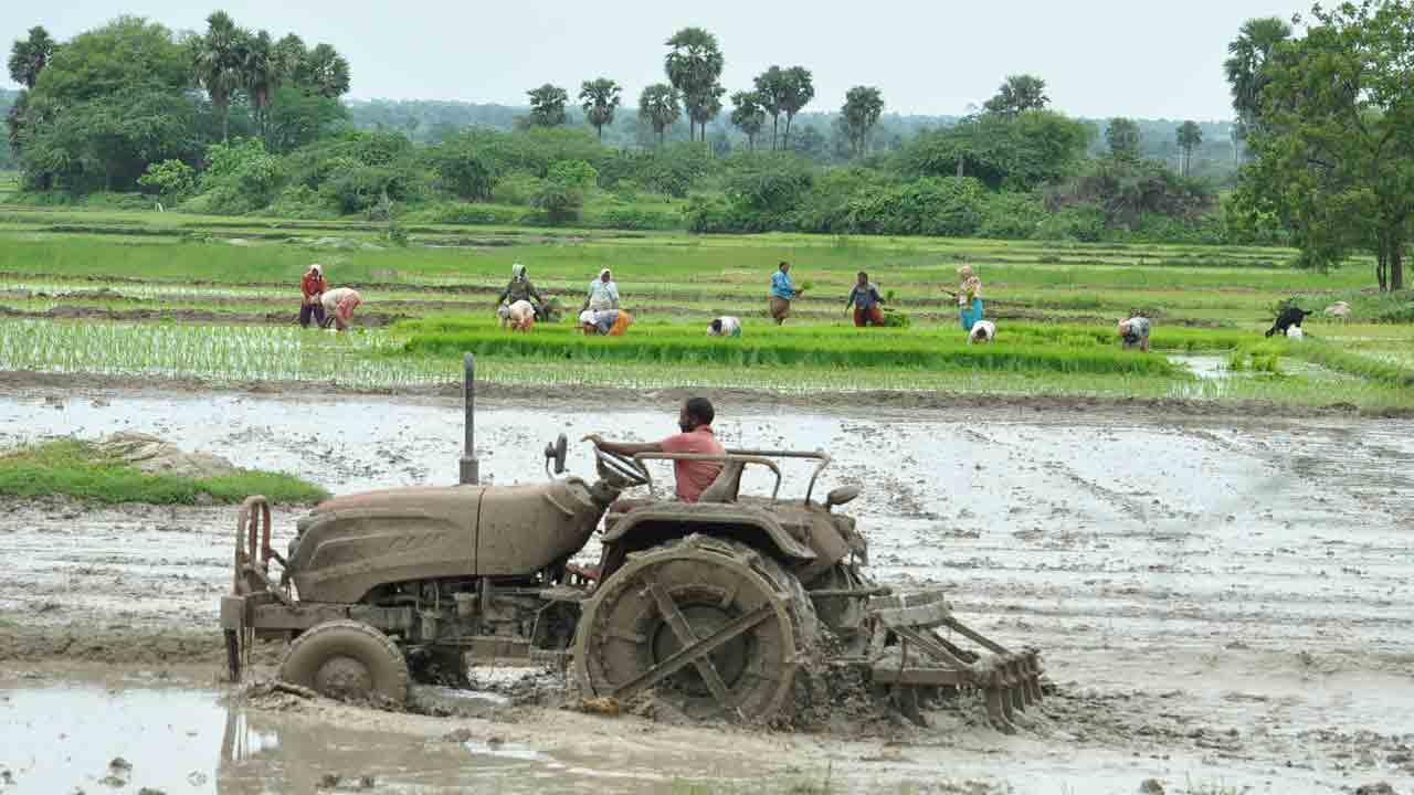 సాగు జోరు.. ఊపందుకున్న యాసంగి పనులు