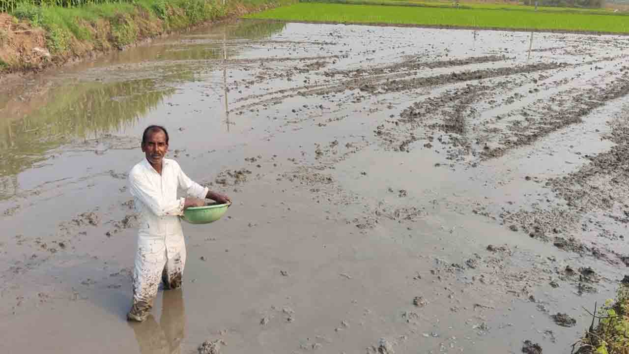 సులువైన విధానం.. అధిక ఆదాయం