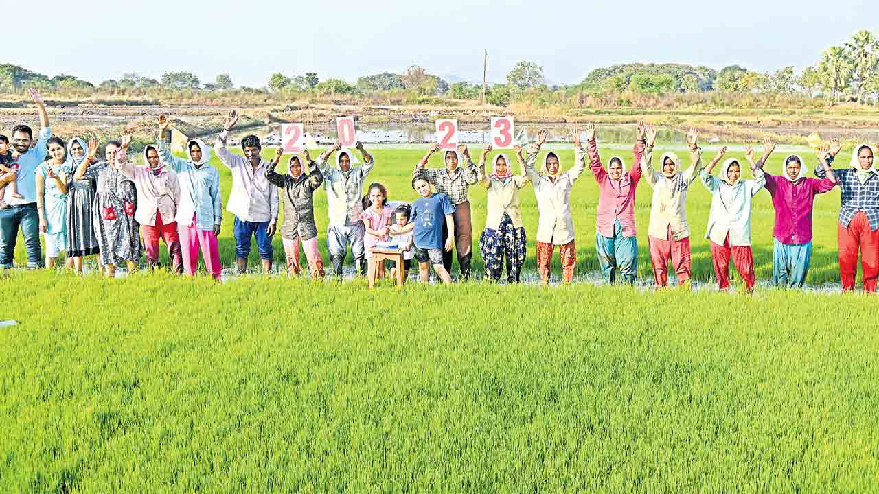 ‘నయా’ జోష్‌..