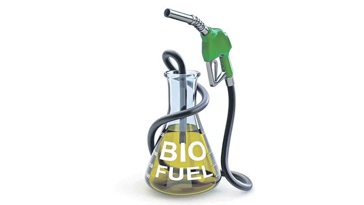 తీపి జొన్నలతో జీవ ఇంధనం.. బయో డీజిల్‌ తయారీకి ఇక్రిశాట్‌ సన్నాహాలు