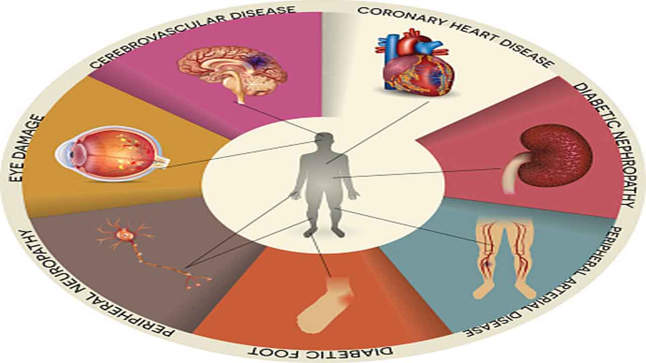 Diabetes | డయాబెటిస్‌..  శరీరంలో ఏ భాగాలపై ప్రభావం చూపిస్తుందో తెలుసా?