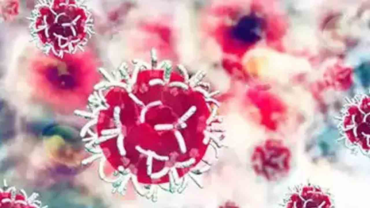 క్యాన్సర్‌ కణాలే క్యాన్సర్‌ కిల్లర్లు!