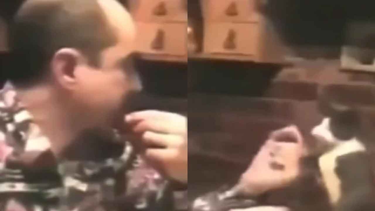 Wow cat | యజమానికి మాటలు రావు.. సైన్‌ లాంగ్వేజ్‌లో మాట్లాడ్డం నేర్చుకున్న పిల్లి