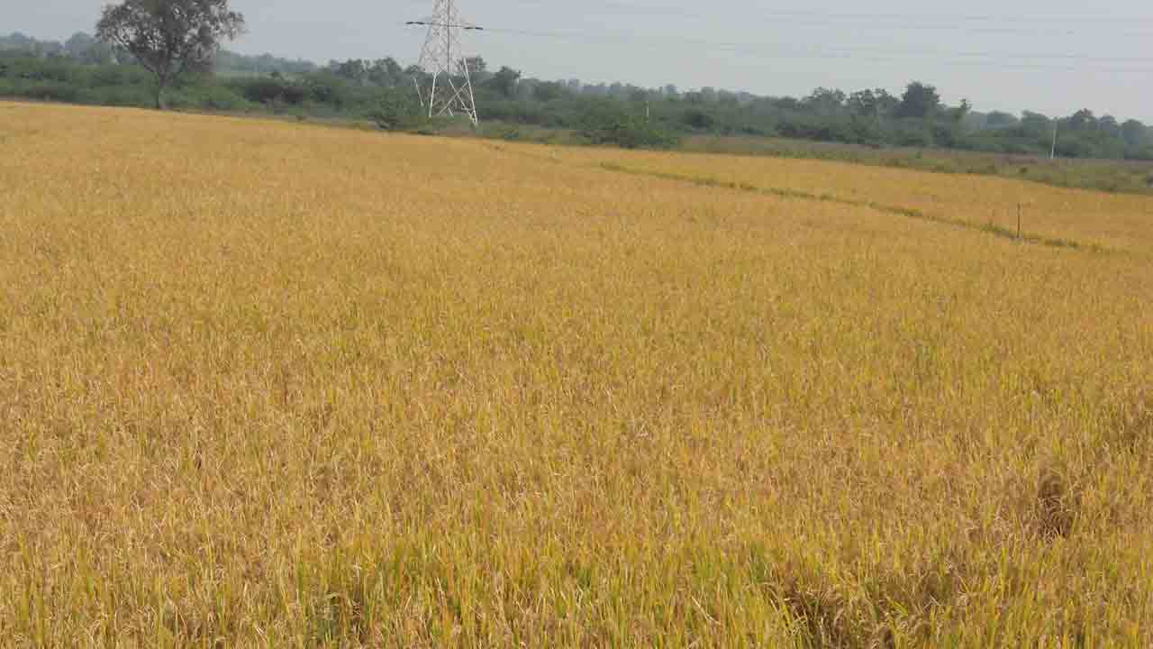 పూర్తయిన కొనుగోళ్లు