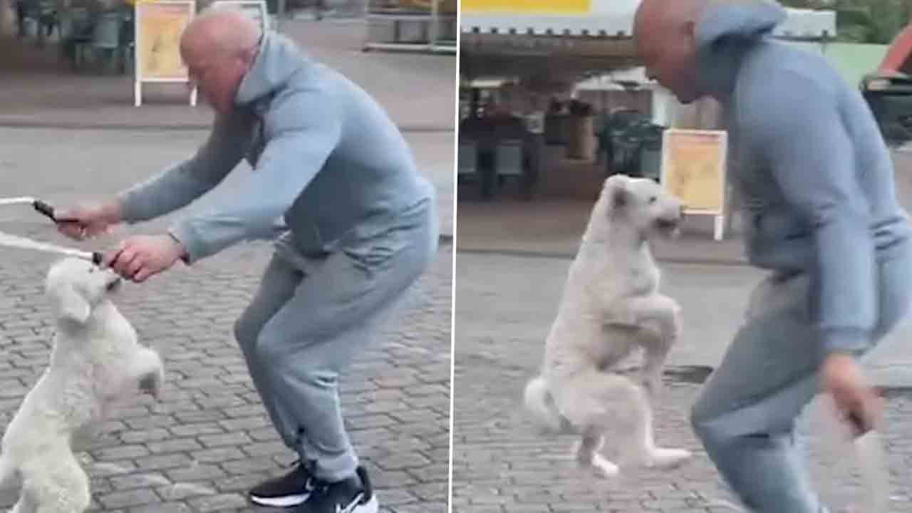 Viral Video | వెనుక కాళ్లపై శునకం స్కిప్పింగ్‌.. గిన్నిస్‌ బుక్‌లో చోటు