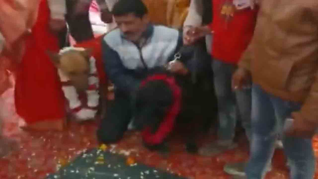 Watch: బ్యాండ్, బాజా, బారాత్.. రెండు కుక్కలకు ఘనంగా పెళ్లి, ఎక్కడంటే?