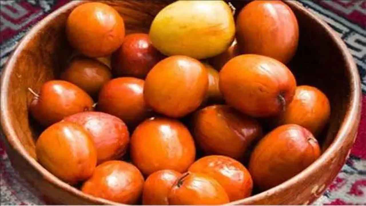 Plum Fruits | రేగు పండు.. పోషకాలు మెండు..