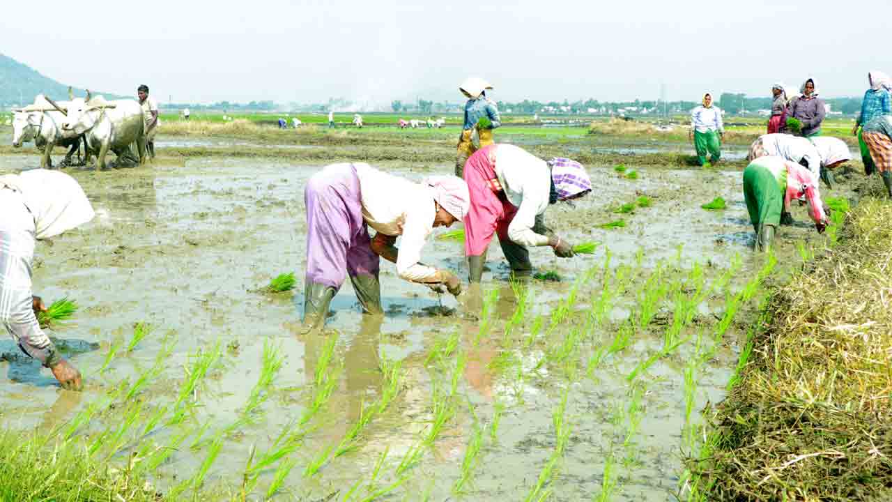 కష్టాలు తీరంగ.. సాగు సంతోషంగ..