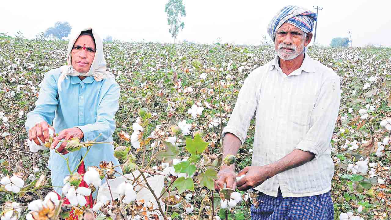 తెలంగాణ వచ్చినంకే బాగుపడ్డ.. ఇంత చేస్తున్న కేసీఆర్‌ సారే మళ్లీ రావాలే