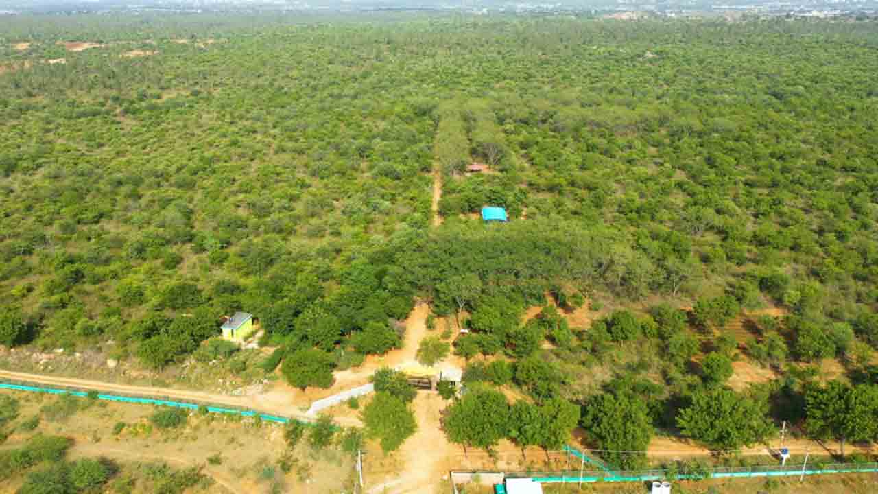 తెలంగాణలో ట్రైనీ ఐఎఫ్ఎస్ అధికారుల అధ్యయనం..