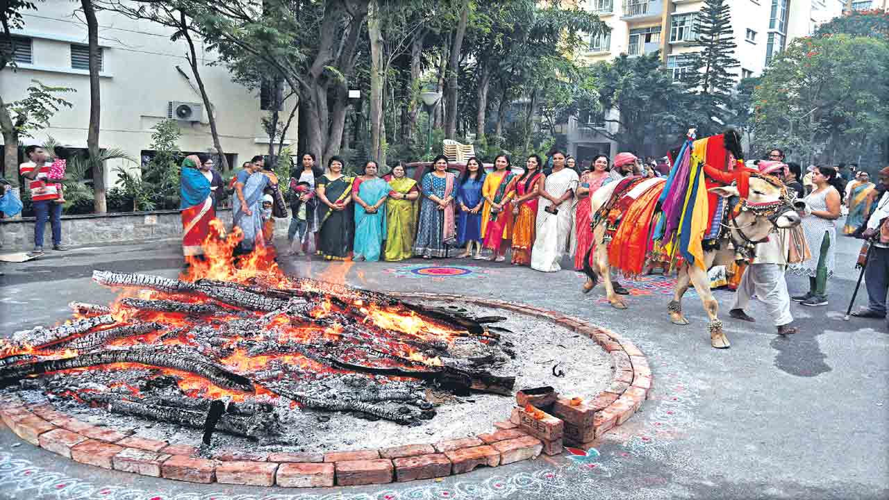 ప్రకృతితో మమేకం.. సంక్రాంతి సంబురం..!!