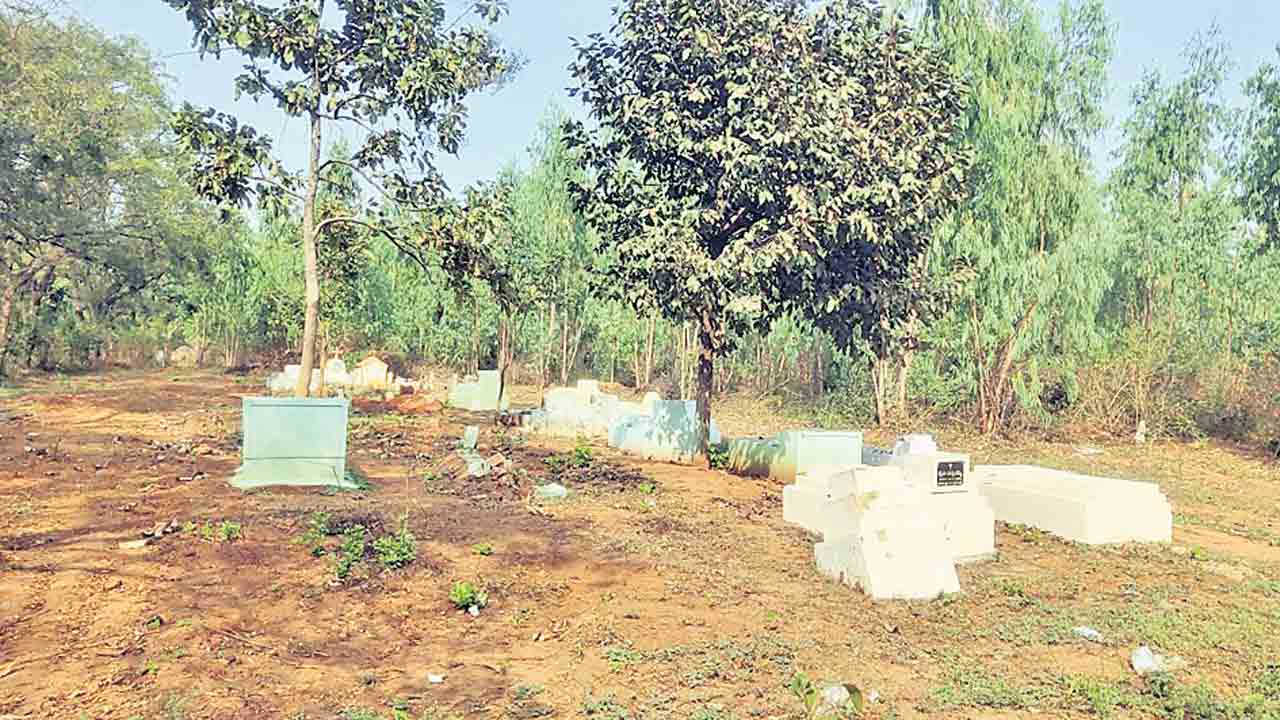 బాసరేగడి కష్టం తీరింది