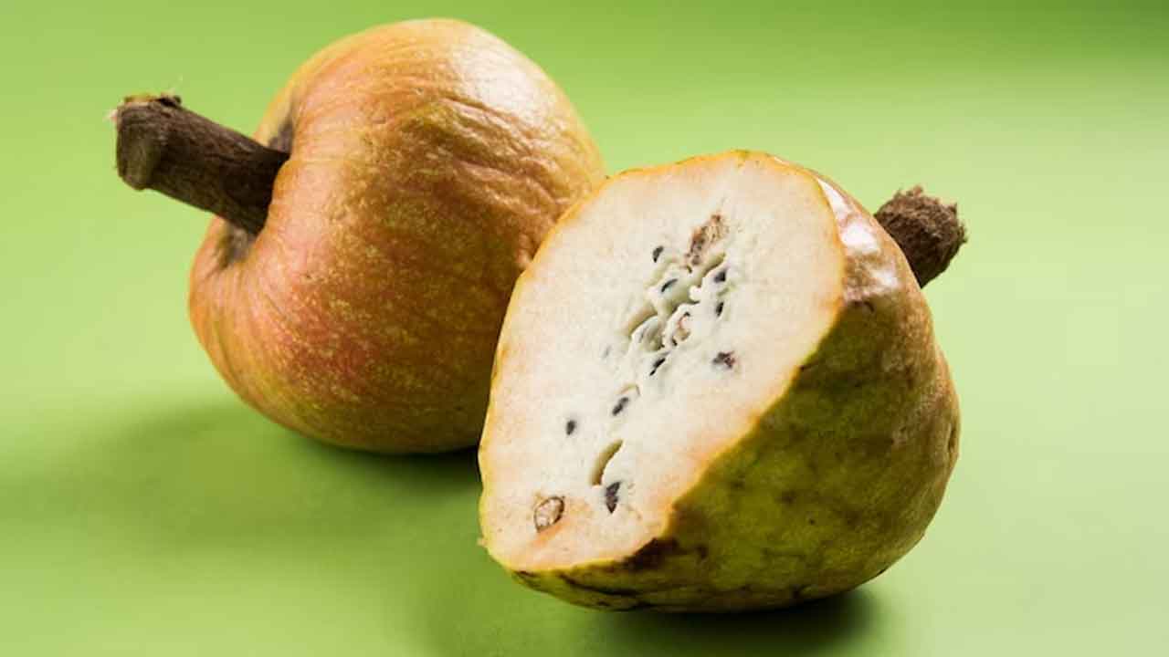 Ramphal | రామ ఫలంతో బోలెడు ఆరోగ్య ప్రయోజనాలు.. అవేంటంటే..!