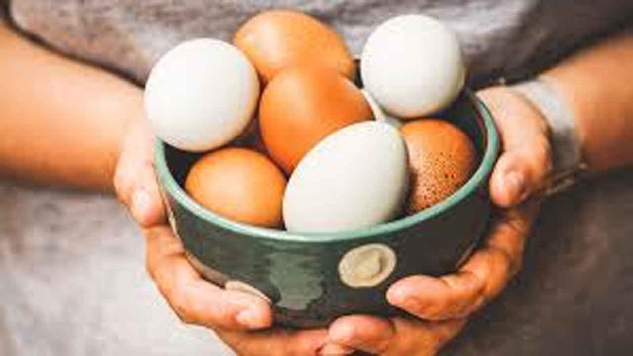 Healthy egg | గుండె నుంచి చర్మం వరకు.. గుడ్డుతో బోలెడు ప్రయోజనాలు..