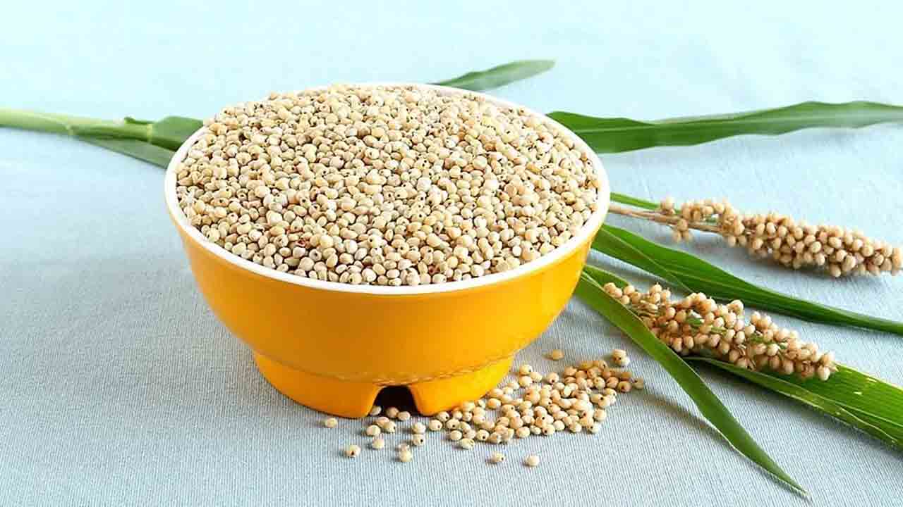 Jowar benefits | జొన్నలతో ఎన్ని ఆరోగ్య ప్రయోజనాలో తెలుసా..?
