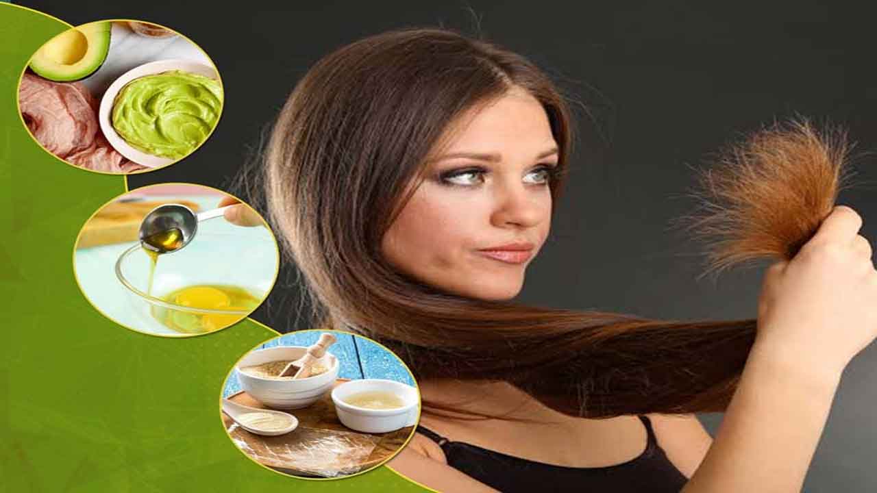 Hair Split Ends | జుట్టు చివర్లు చిట్లిపోతున్నాయా..? ఈ హోమ్‌ మేడ్‌ మాస్కులతో కాపాడుకోండి..!