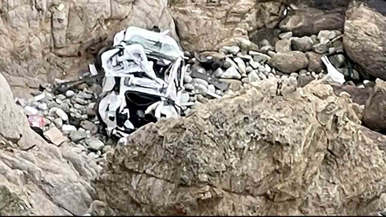 భార్య, పిల్లలున్న టెస్లా కారును.. లోయలోకి దూకించిన భారత సంతతి వ్యక్తి