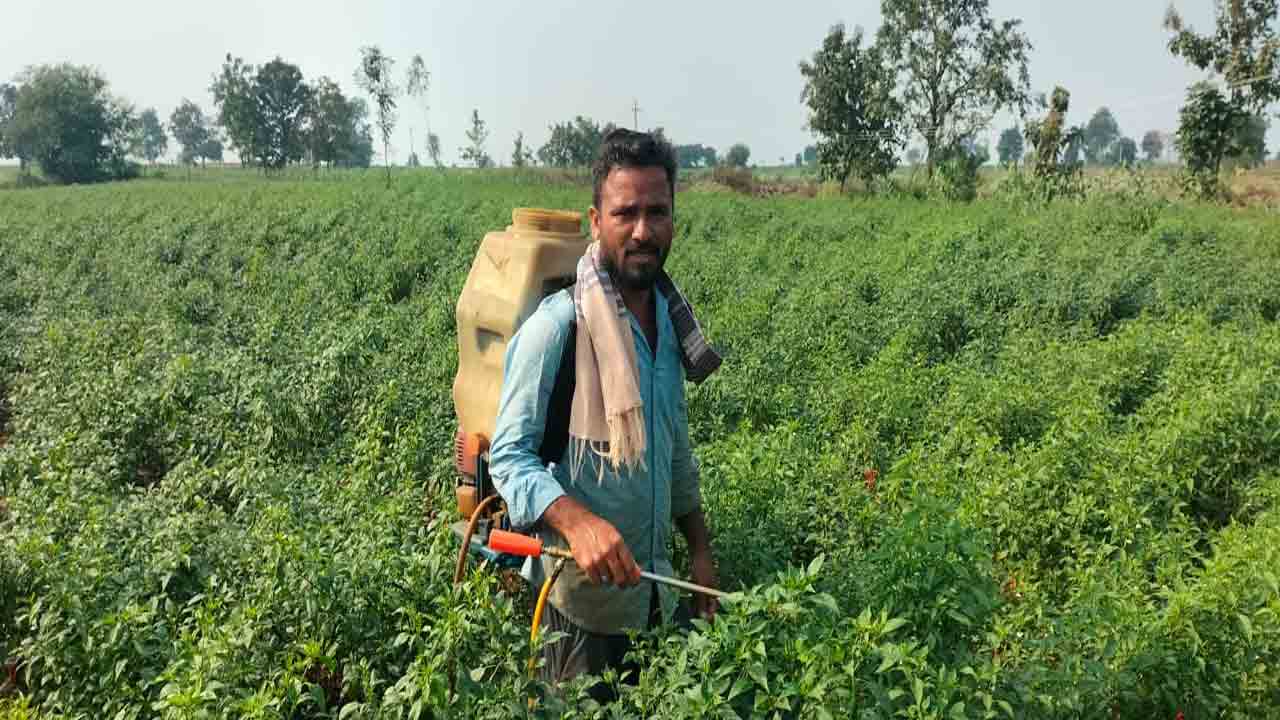 యాసంగి రైతుబంధు @ రూ.192కోట్లు