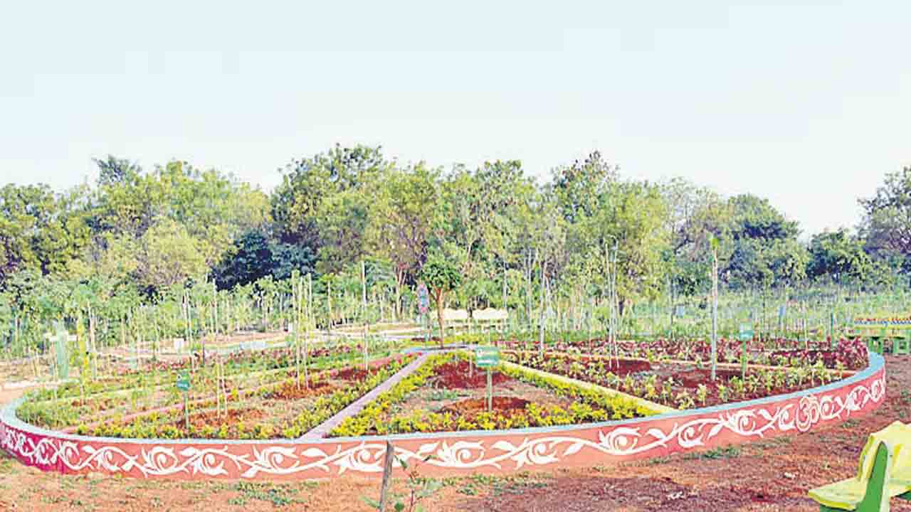 ఆహ్లాదకరం.. బృహత్‌ ప్రకృతివనం