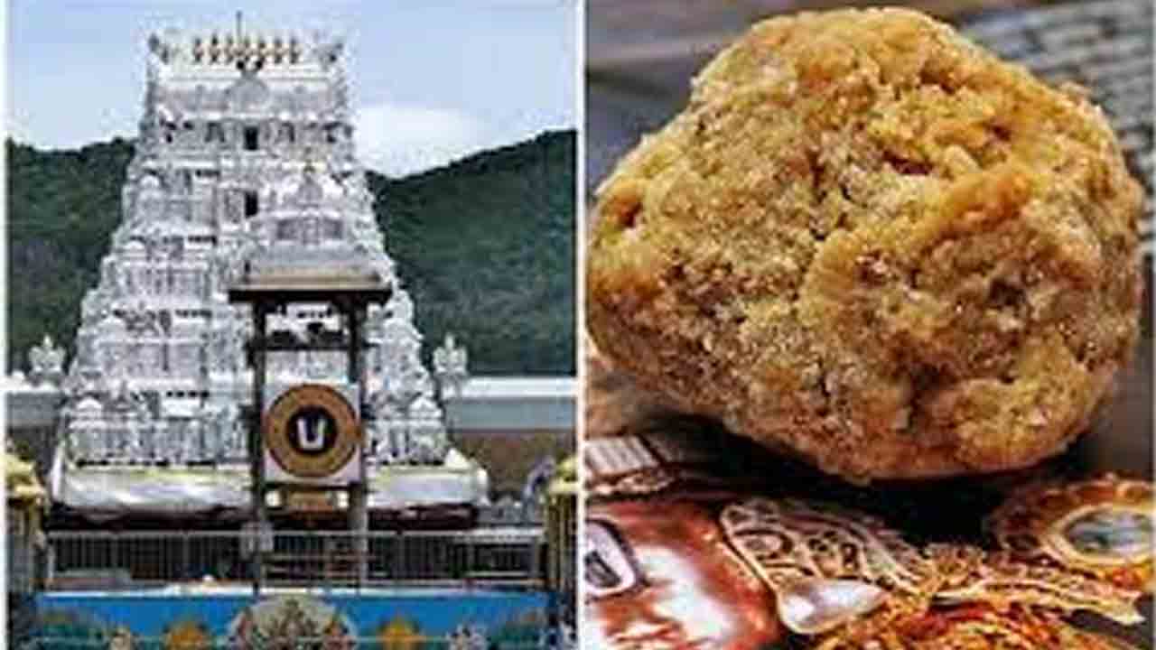 తిరుమలలో అదనంగా మరో 30 లడ్డు విక్రయ కేంద్రాలు : టీటీడీ