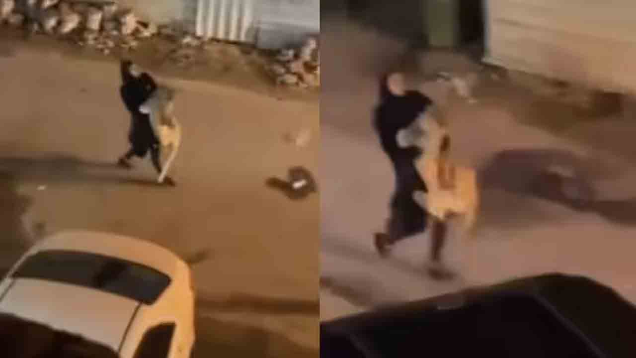 షాకింగ్‌ వీడియో.. సింహాన్ని ఓ మహిళ ఎలా మోసుకెళ్తోందో చూడండి..!