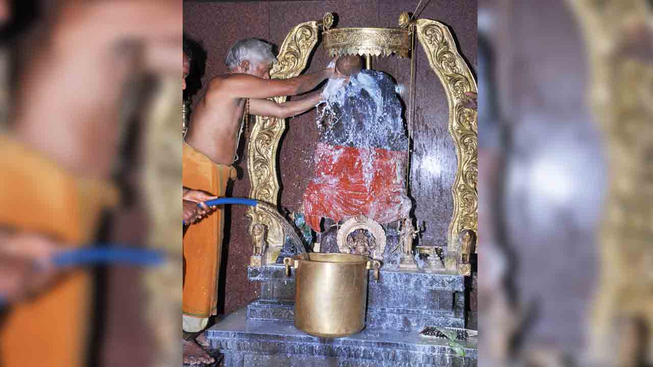 జగన్మాతా పాహిమం..